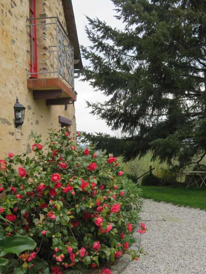 Ecrin de Verdure Sainte-Suzanne  Exterior foto