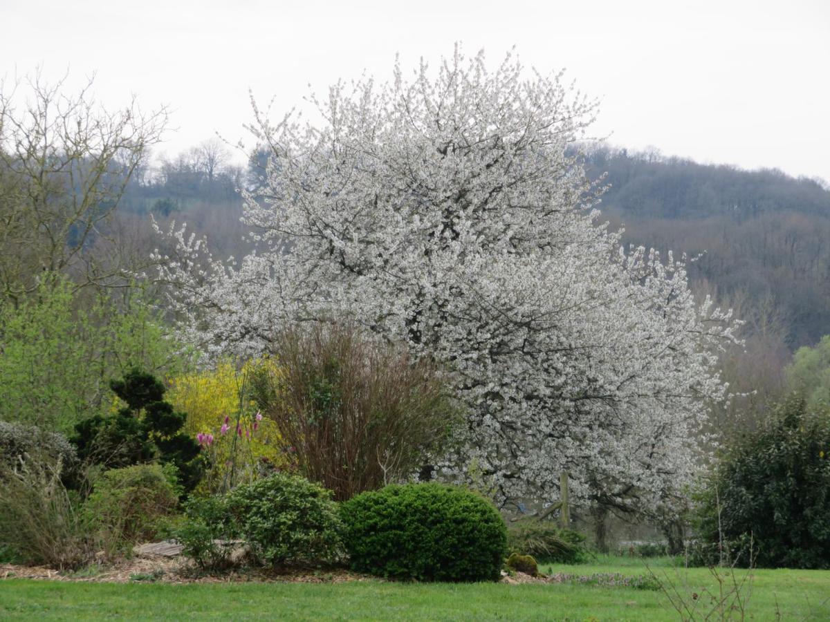 Ecrin de Verdure Sainte-Suzanne  Exterior foto