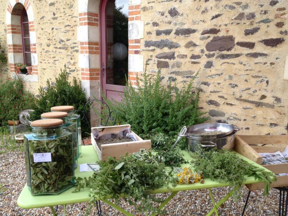 Ecrin de Verdure Sainte-Suzanne  Exterior foto